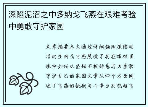 深陷泥沼之中多纳戈飞燕在艰难考验中勇敢守护家园