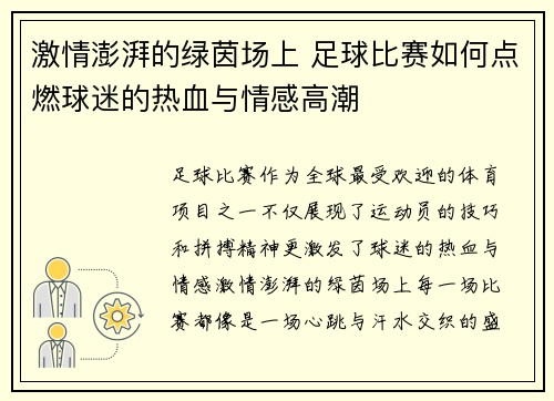 激情澎湃的绿茵场上 足球比赛如何点燃球迷的热血与情感高潮